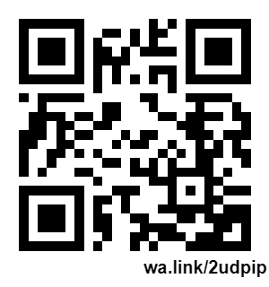 wa.link_2udpip